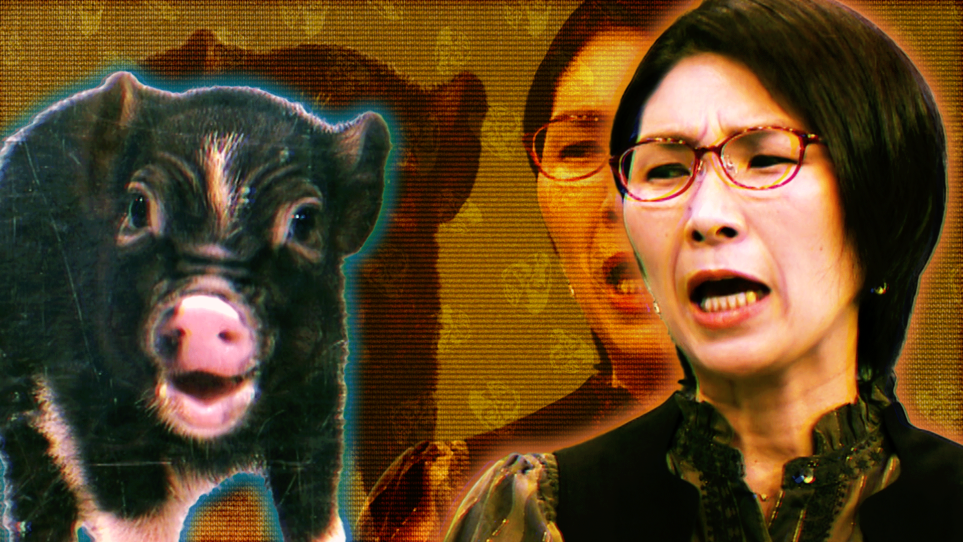 【ホモサピ万博】鬼越VSママタレ族勃発! マイクロブタ大暴走「夫の悪口言うなら別れれば!?」