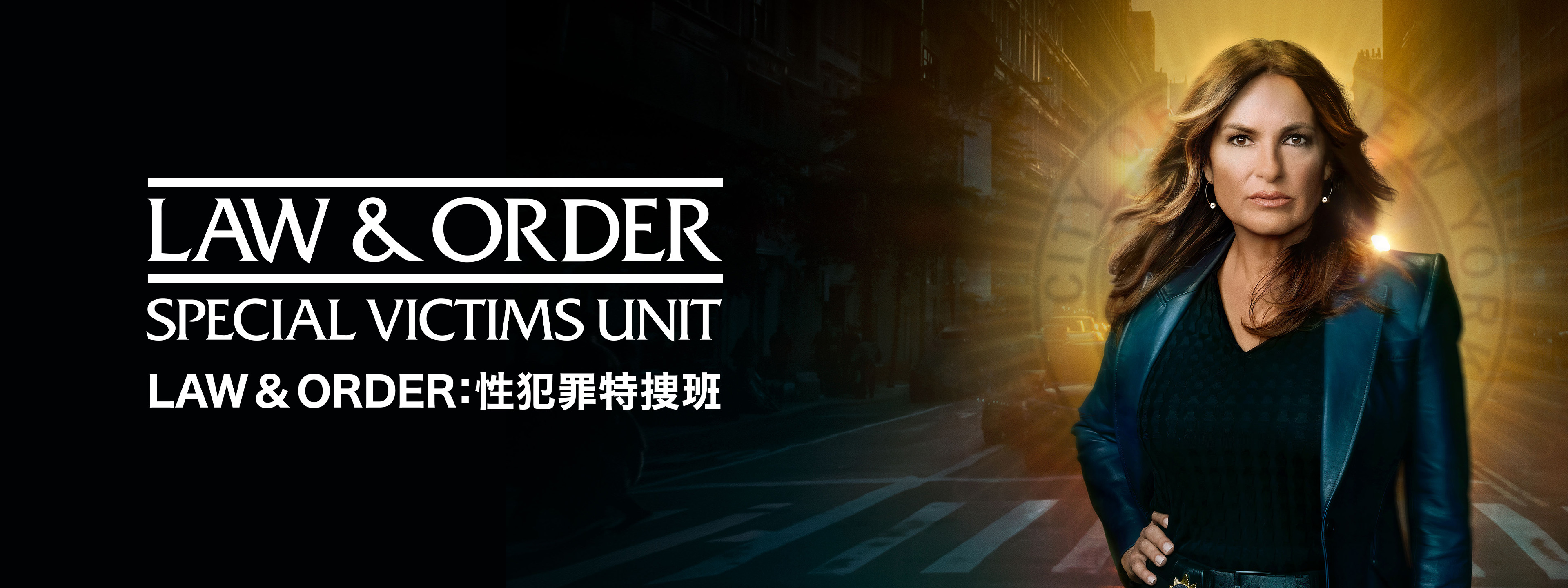 Law & Order: :性犯罪特捜班 シーズン1～10（55DVD） 【公式通販】