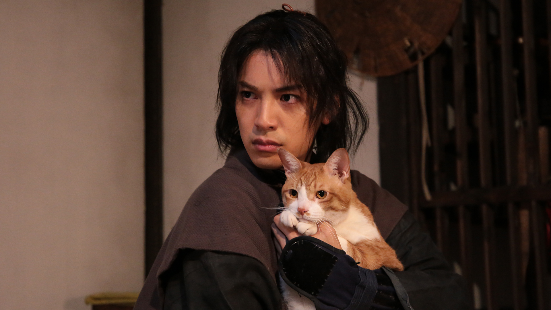 三の巻 「猫」と「金魚」!?