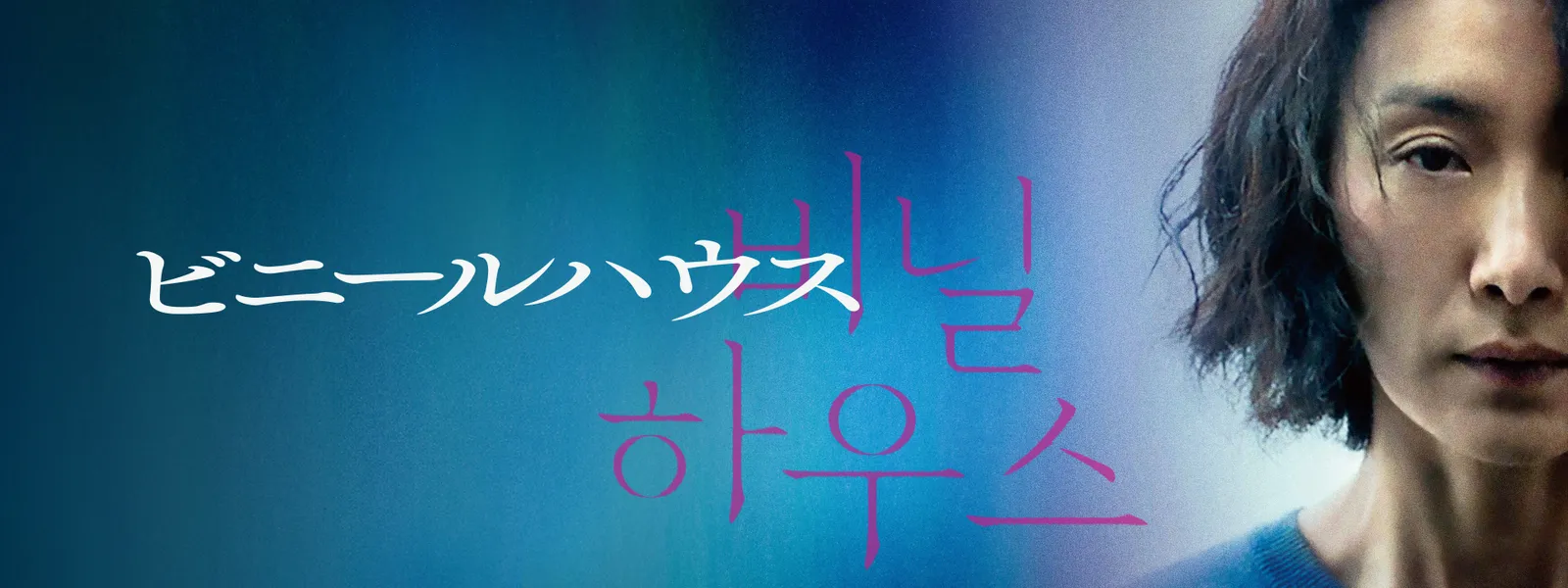 ビニールハウス | Hulu(フールー)