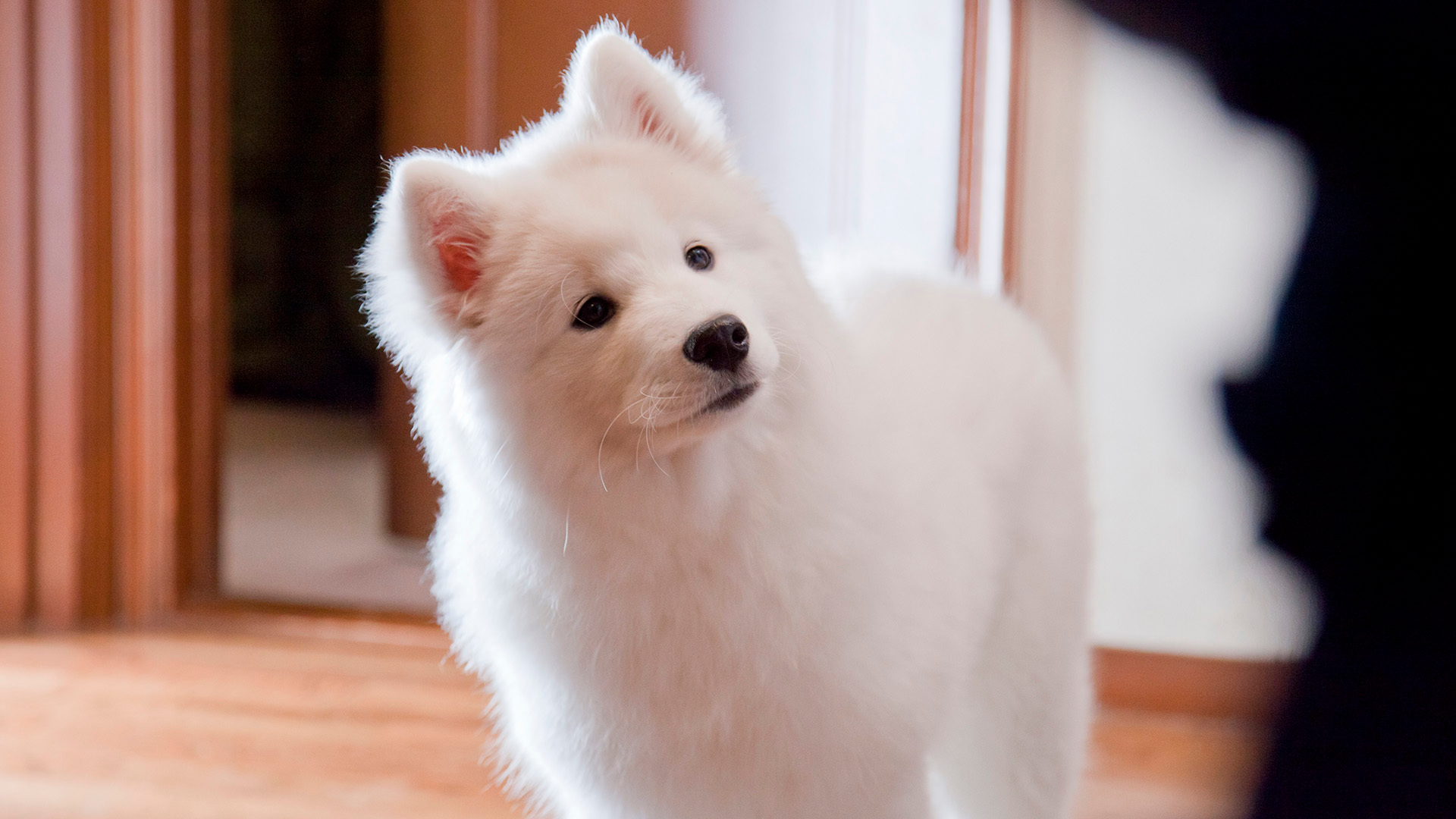 第1話 調整する人