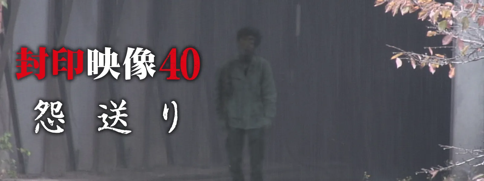 封印映像40 怨送り [DVD] 封印映像40 怨送り ネタバレ感想: WATCH THE SKY