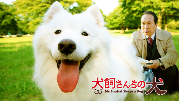 犬飼さんちの犬 DVD-BOX〈3枚組〉＋映画 Amazon.co.jp: TV版「犬飼さんちの犬」 DVD-BOX : 小日向文世
