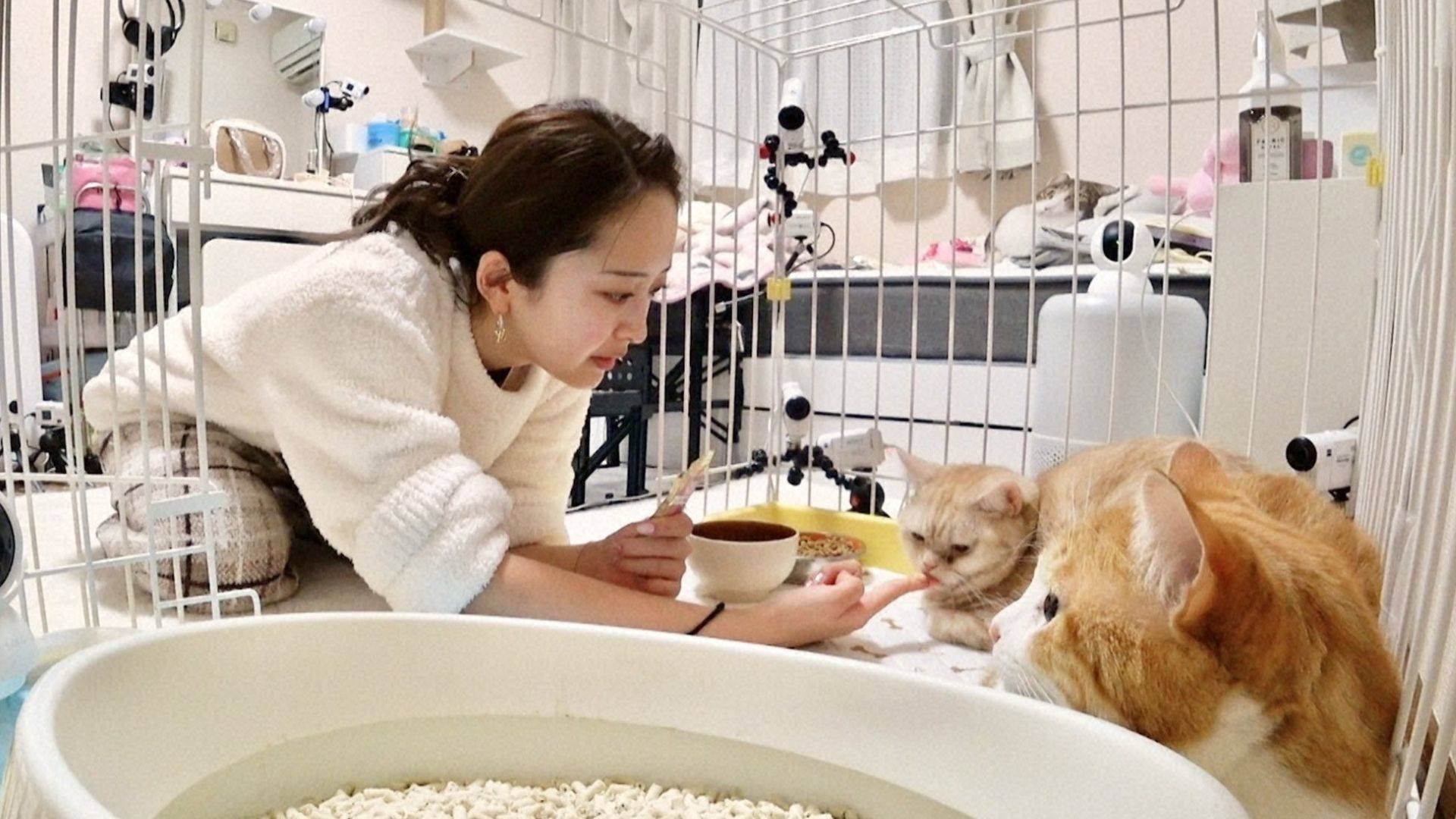 みりちゃむ保護猫2匹&激かわ子猫ワカメにM-1たくろう