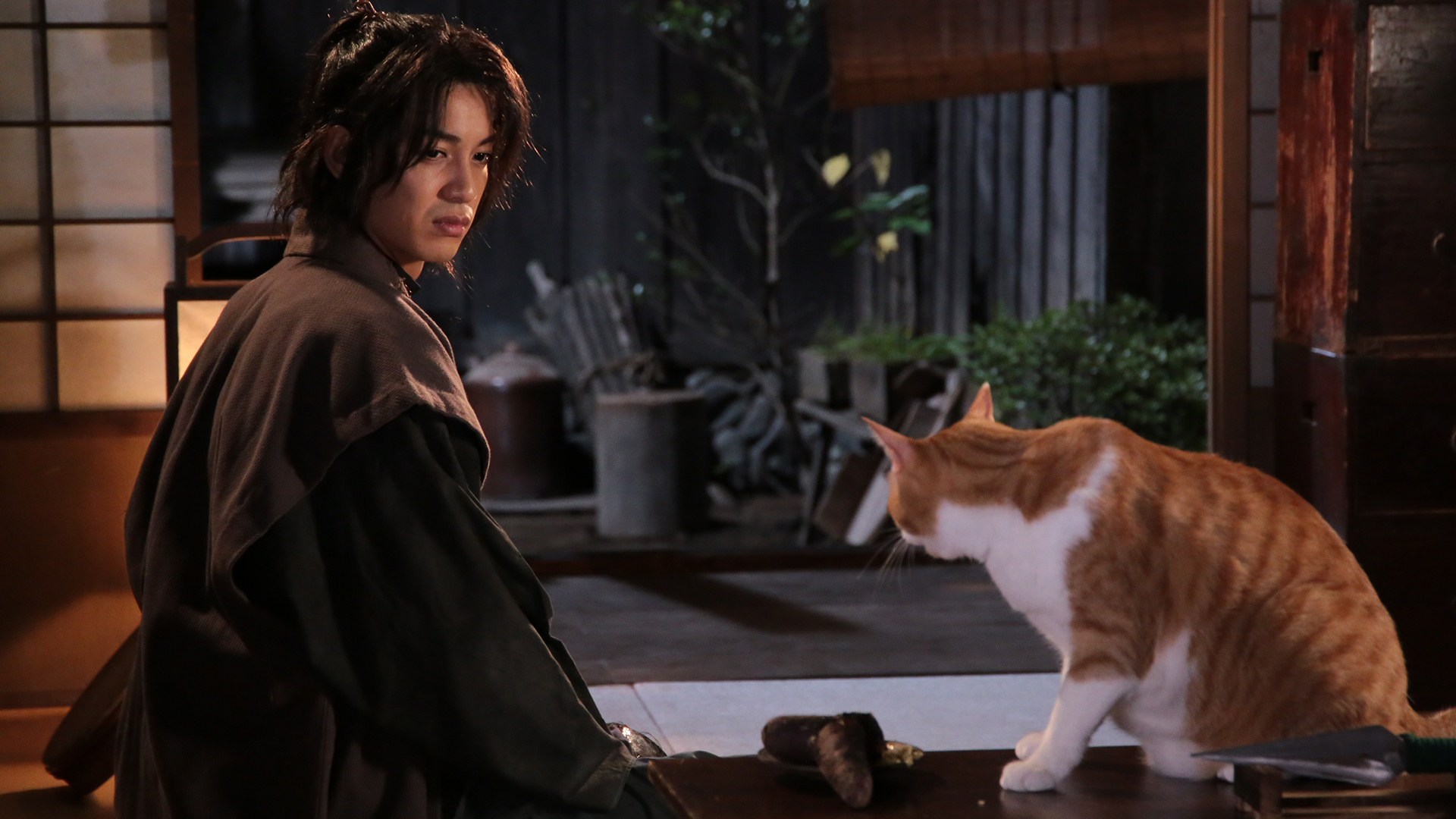 二の巻 「猫」は「魔物」!?