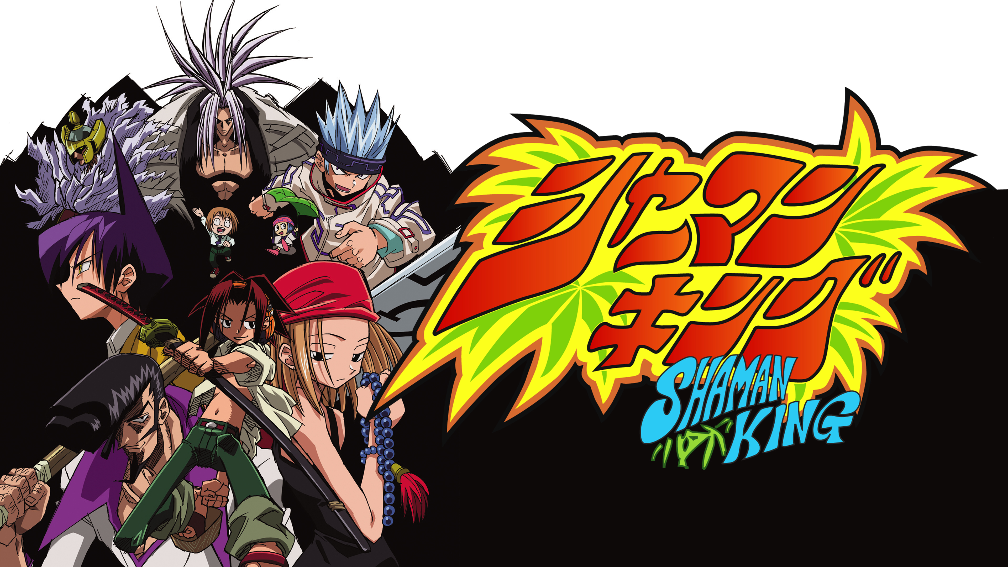 シャーマンキング 第四十廻 超・占事略決 | Hulu(フールー)