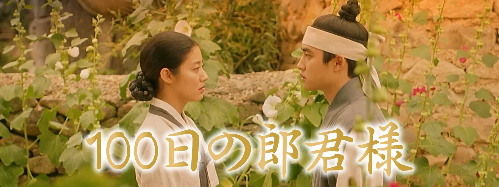 100日の郎君様 が見放題 Hulu フールー お試し無料 100日の郎君様 が見放題 Hulu フールー お試し無料