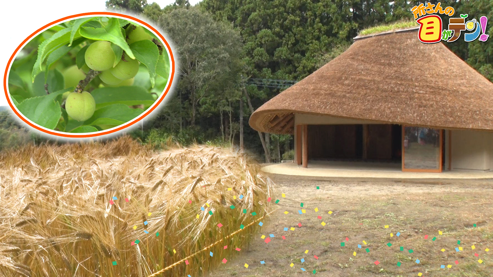 秋の収穫祭･里の恵み満載! 育てた麦をふんだんに使った朝ごはん