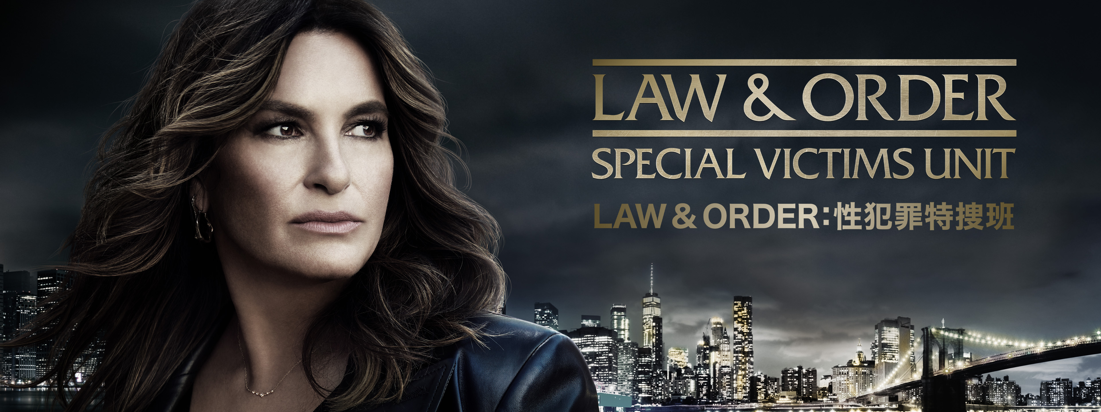 Law & Order: :性犯罪特捜班　シーズン１～１０（５５DVD） LAW & ORDER: 性犯罪特捜班 シーズン10