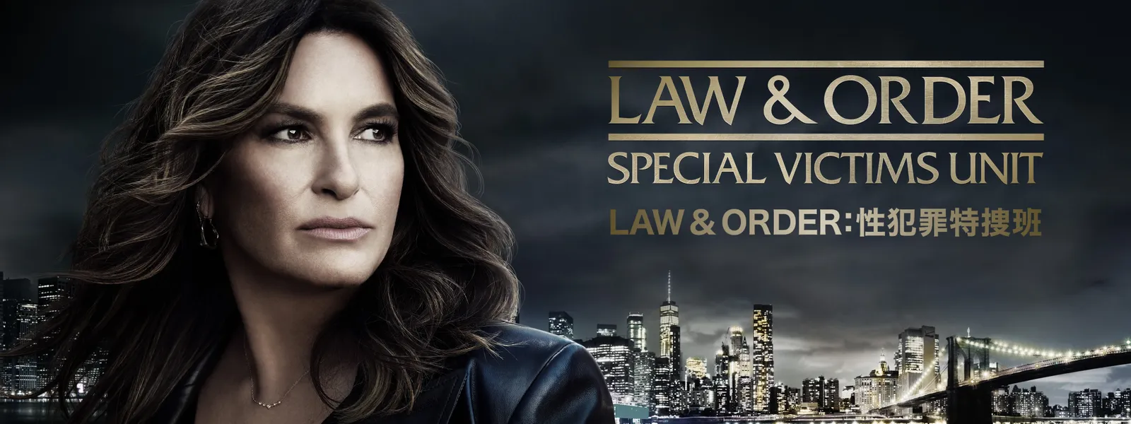 LAW & ORDER：性犯罪特捜班 - サムネイル