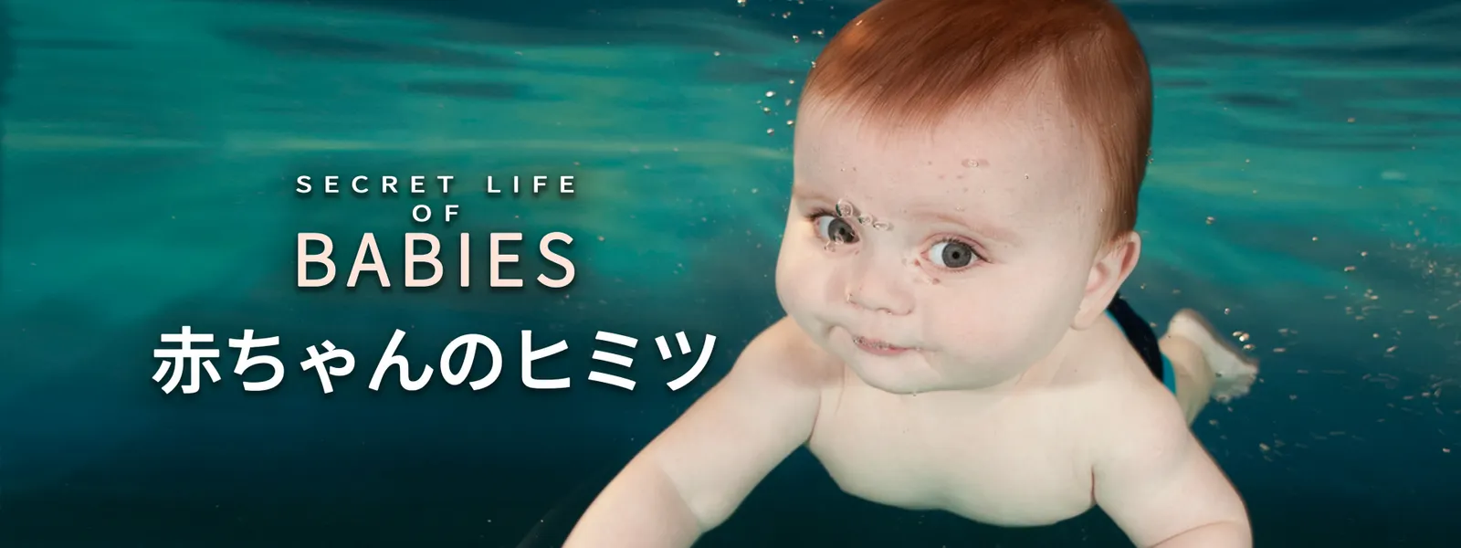 赤ちゃんのヒミツ - サムネイル
