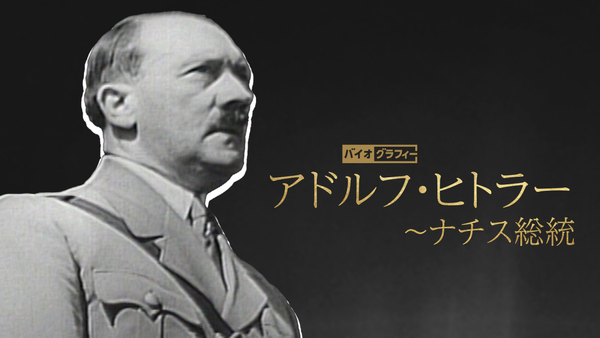 WAR CRIMINALS Of The 20TH 　アドルフヒトラー アドルフ•ヒトラー フィギュア 美品 希少