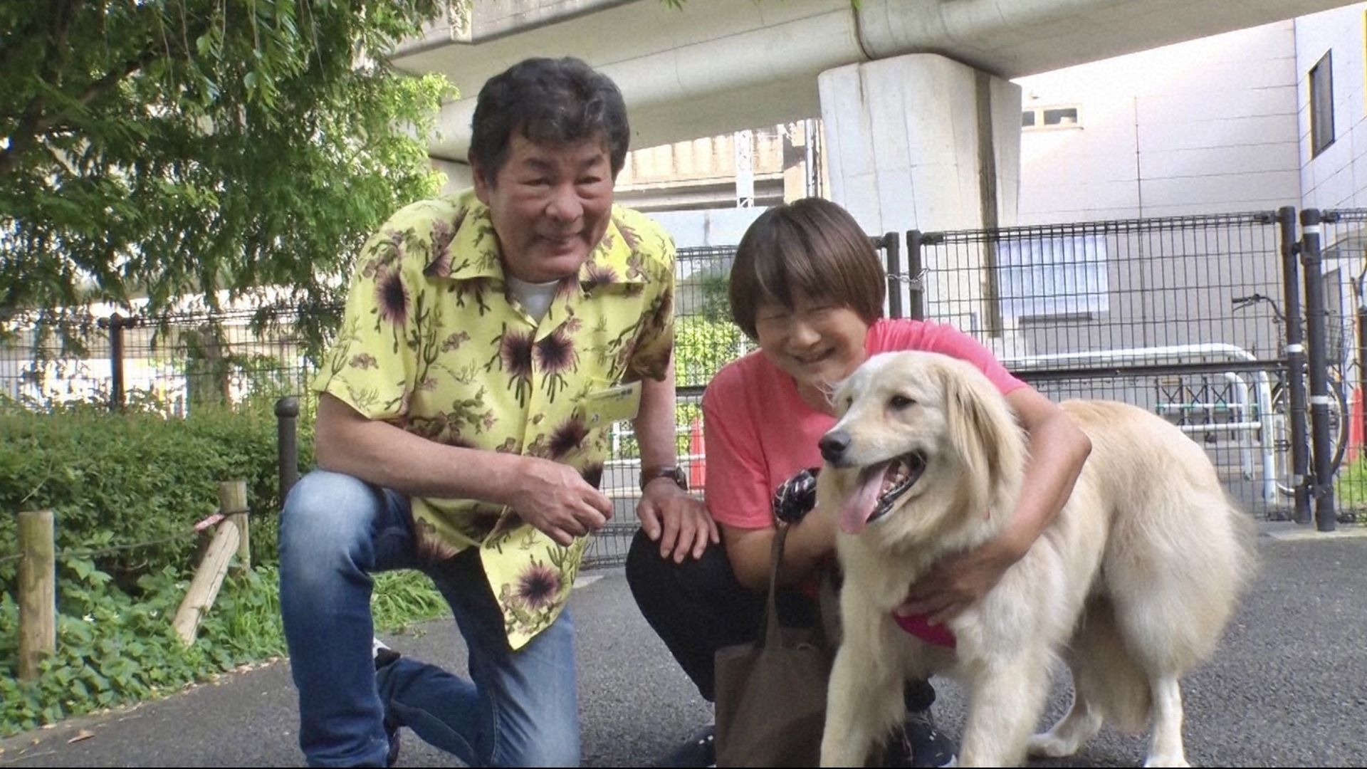 犬好きやす子が相葉トリミングに! ガリガリトイプー大変身!