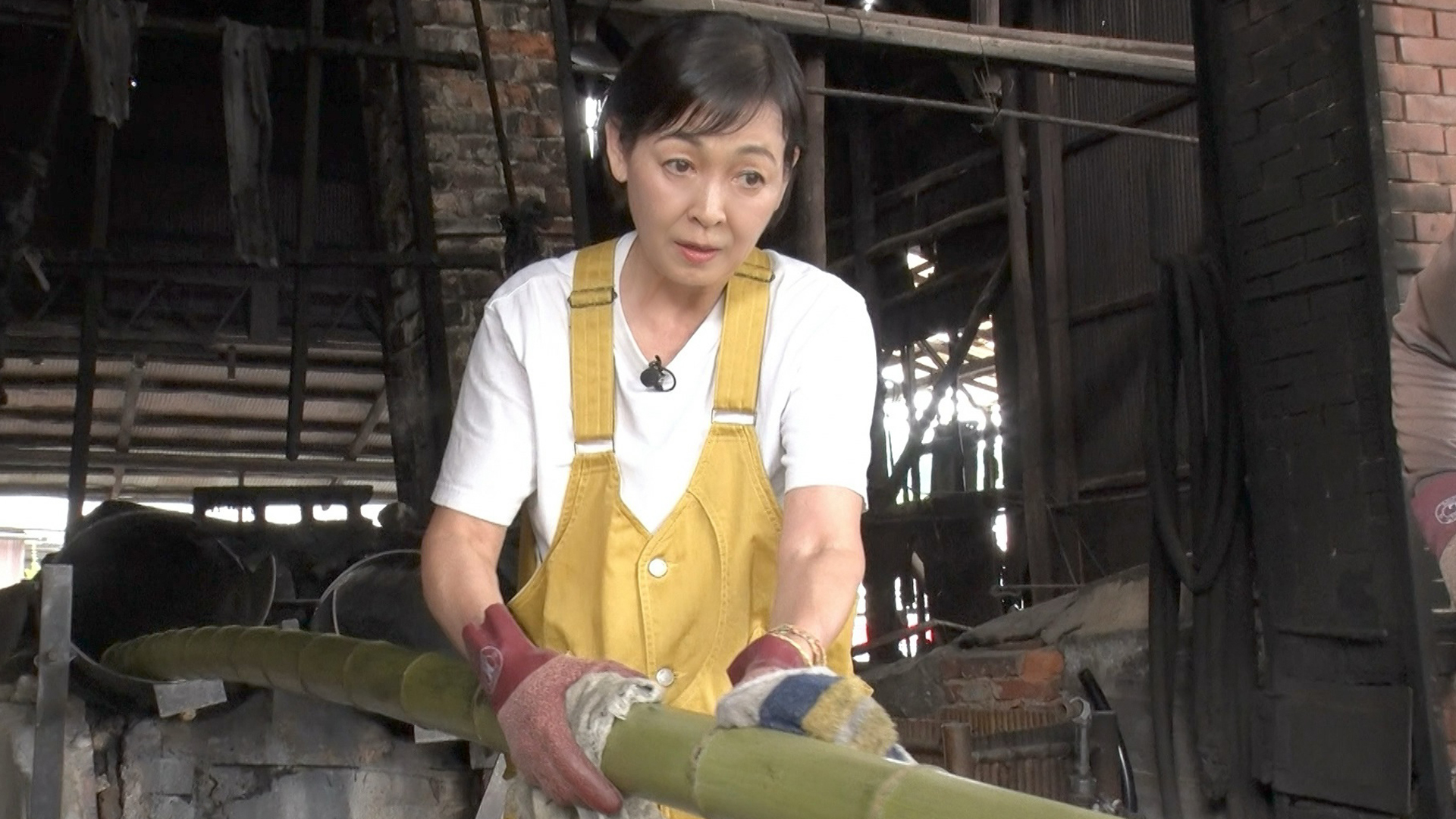 別府の竹に首ったけ 残暑お見舞い申し上げます