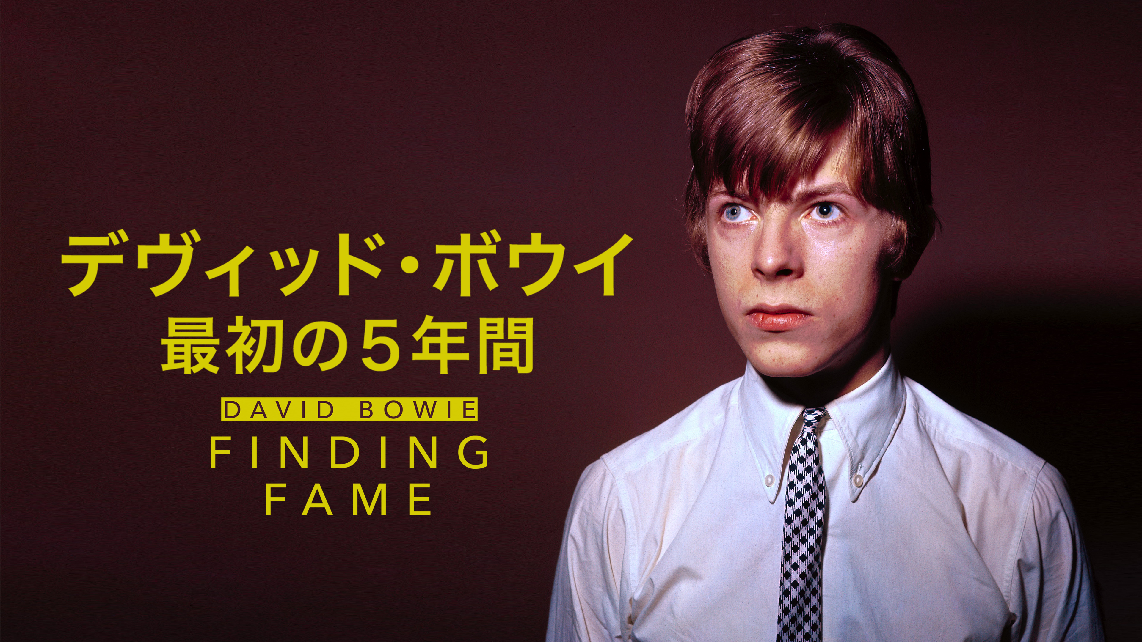 デヴィッド・ボウイ 最初の5年間 | Hulu(フールー)