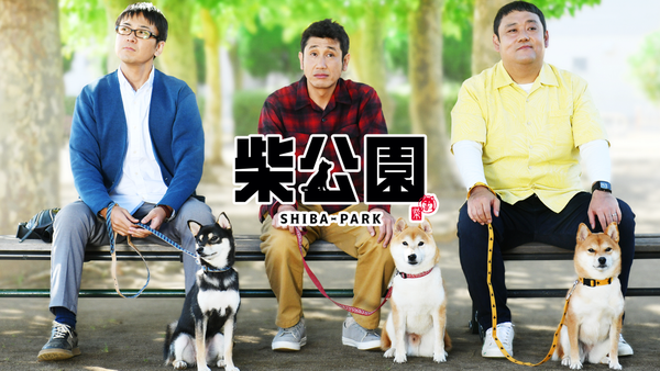 ドラマ版 柴公園 | Hulu(フールー)