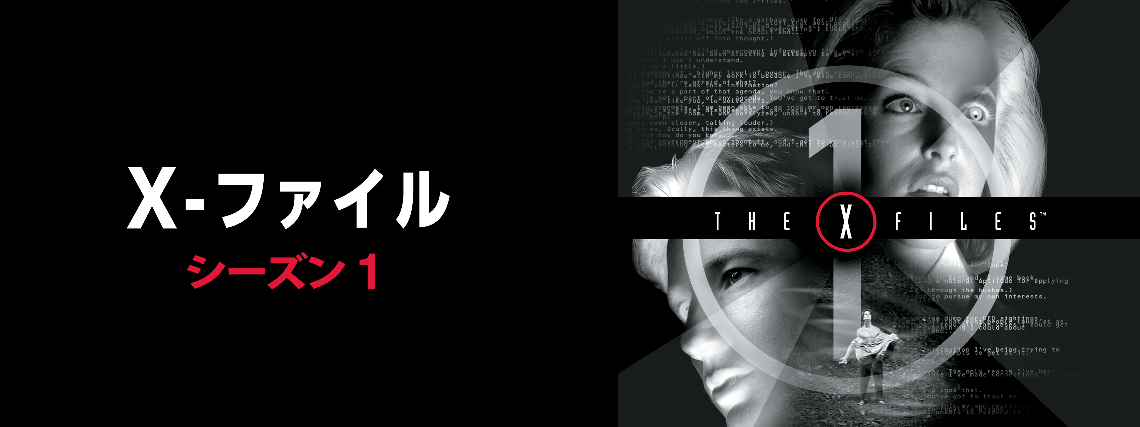 DVD Xファイルシーズン1～9、Xファイルザムービー、Xファイル真実