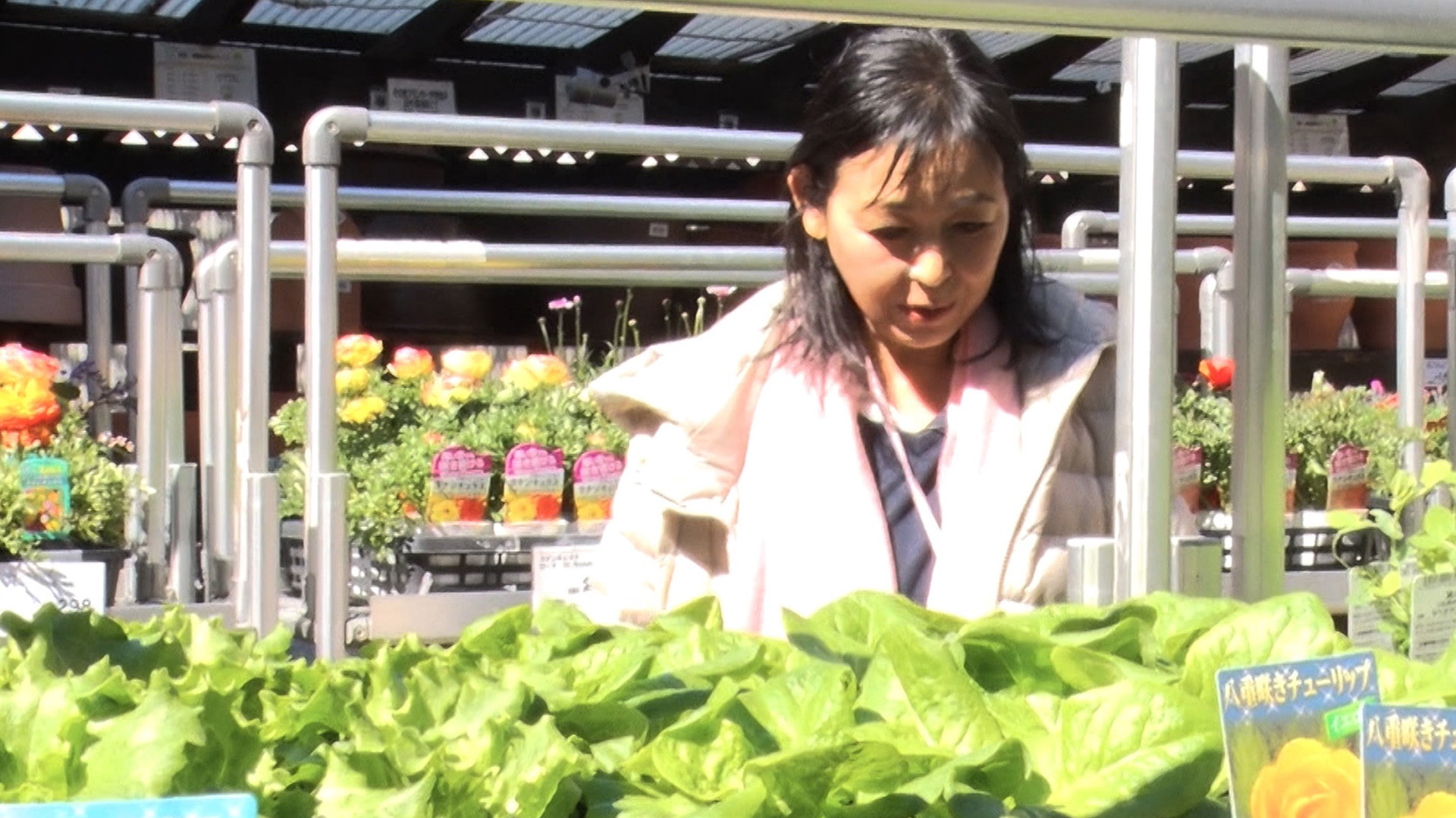 すぐマネ出来る! 都内ベランダでプランター菜園にチャレンジ!