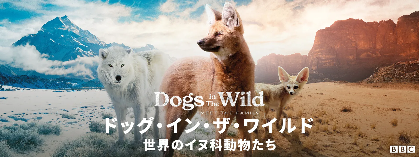 ドッグ･イン･ザ･ワイルド ～世界のイヌ科動物たち～ - サムネイル