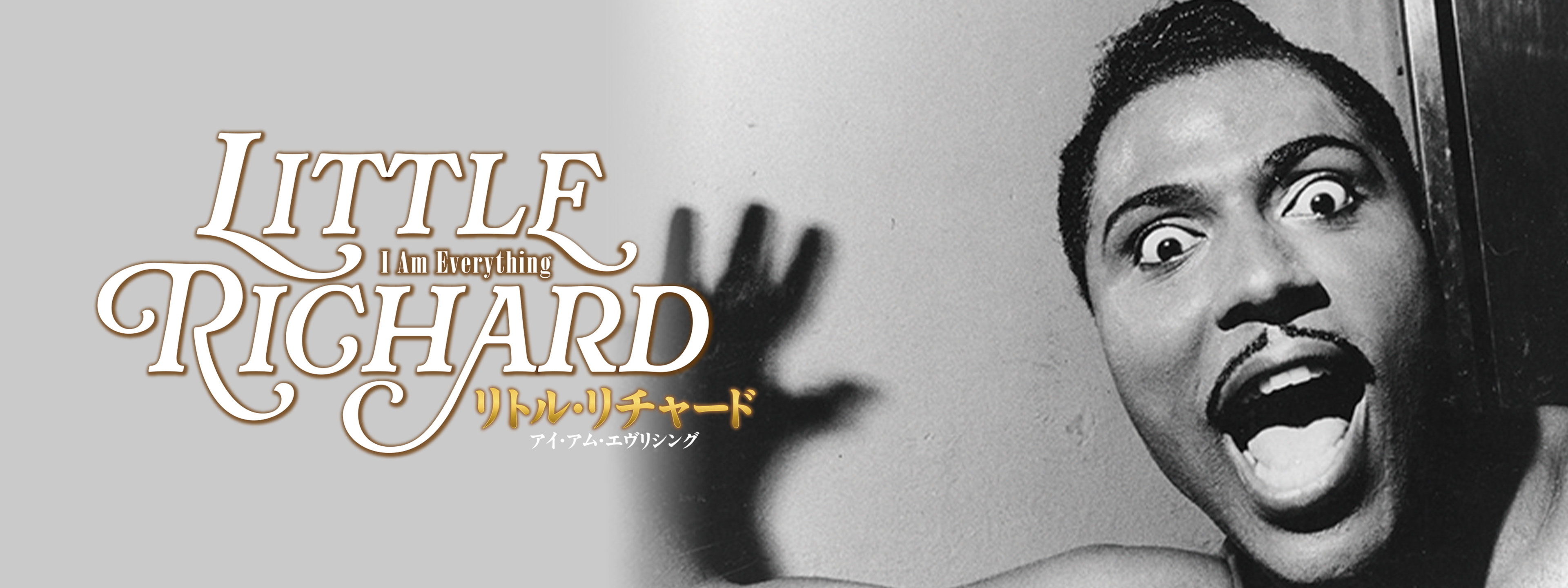 リトル・リチャード：アイ・アム・エヴリシング | Hulu(フールー)