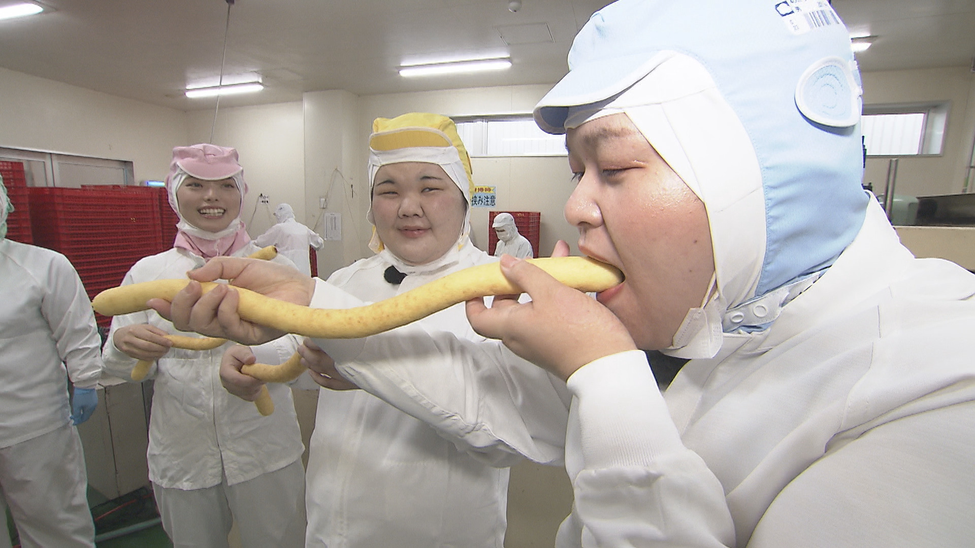 博多の女でおなじみ「二鶴堂」で1日店員体験