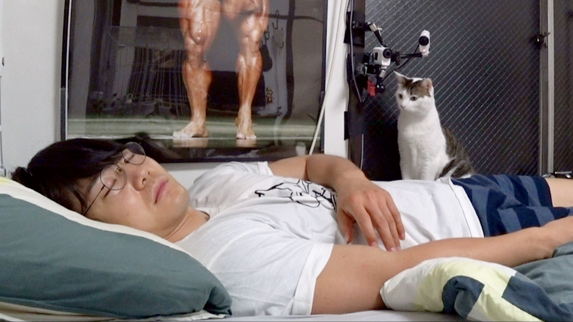 青木マッチョ新シリーズ始動&相葉トリミングに藤本美貴