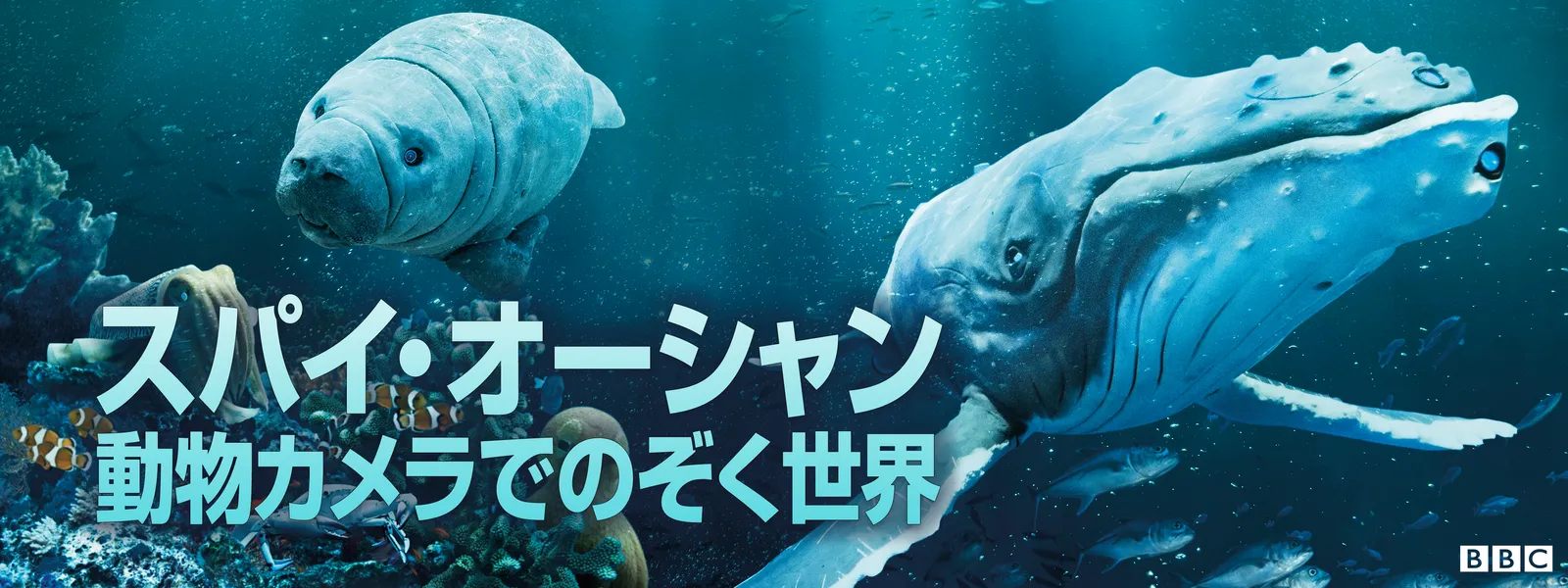 スパイ･オーシャン 動物カメラでのぞく世界 - サムネイル