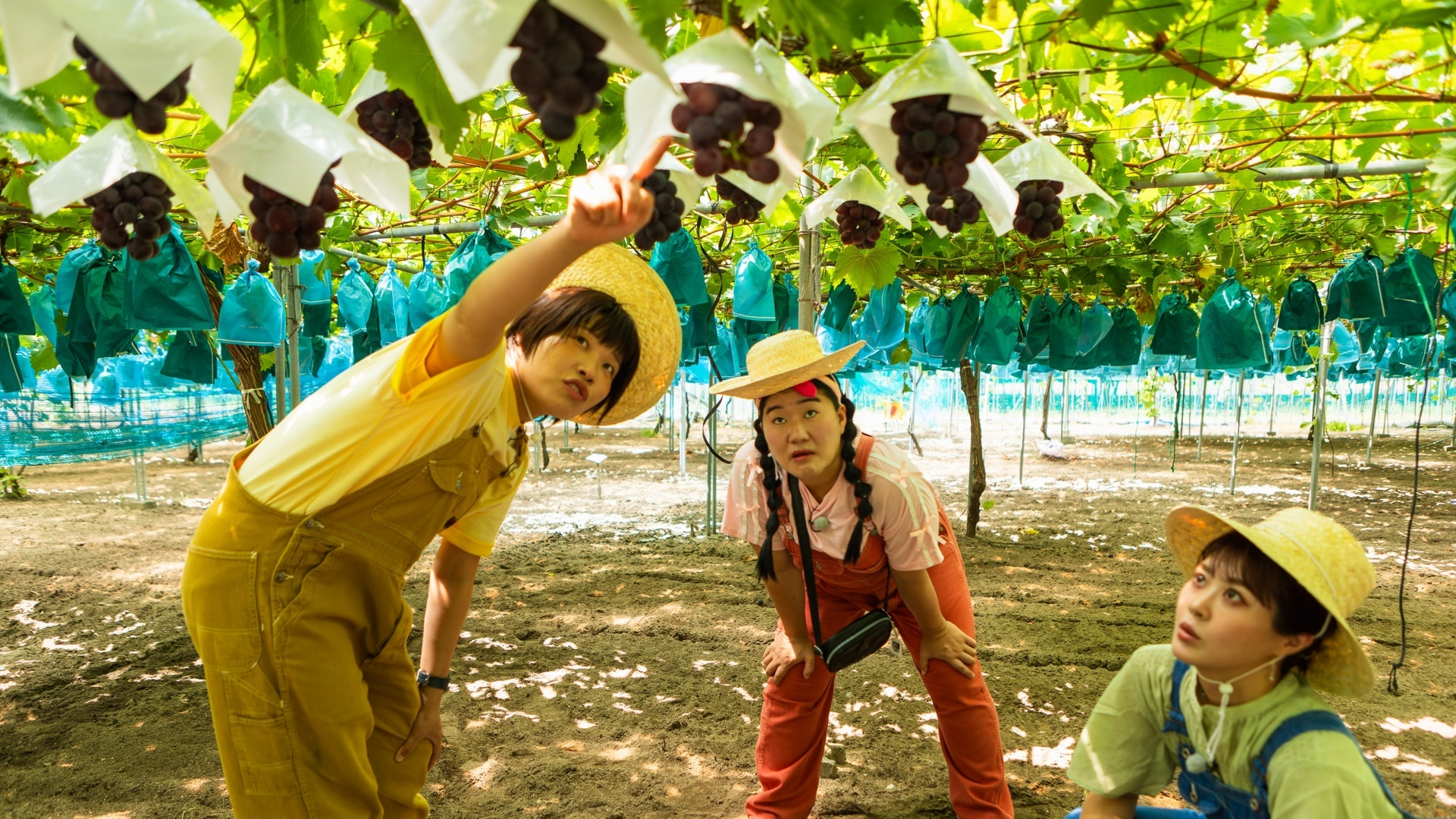 後継者来てごっシャイン
