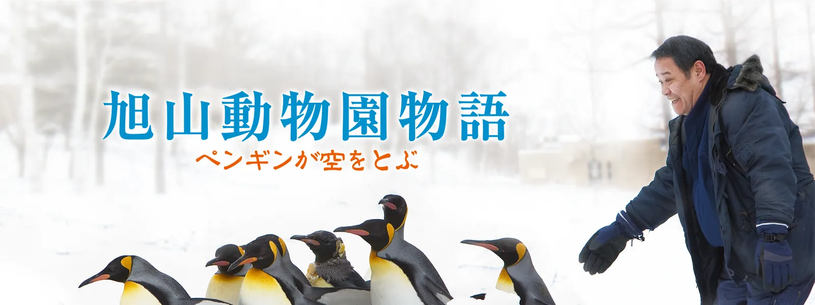 旭山動物園物語 ペンギンが空をとぶ が見放題！ | Hulu(フールー) 【お