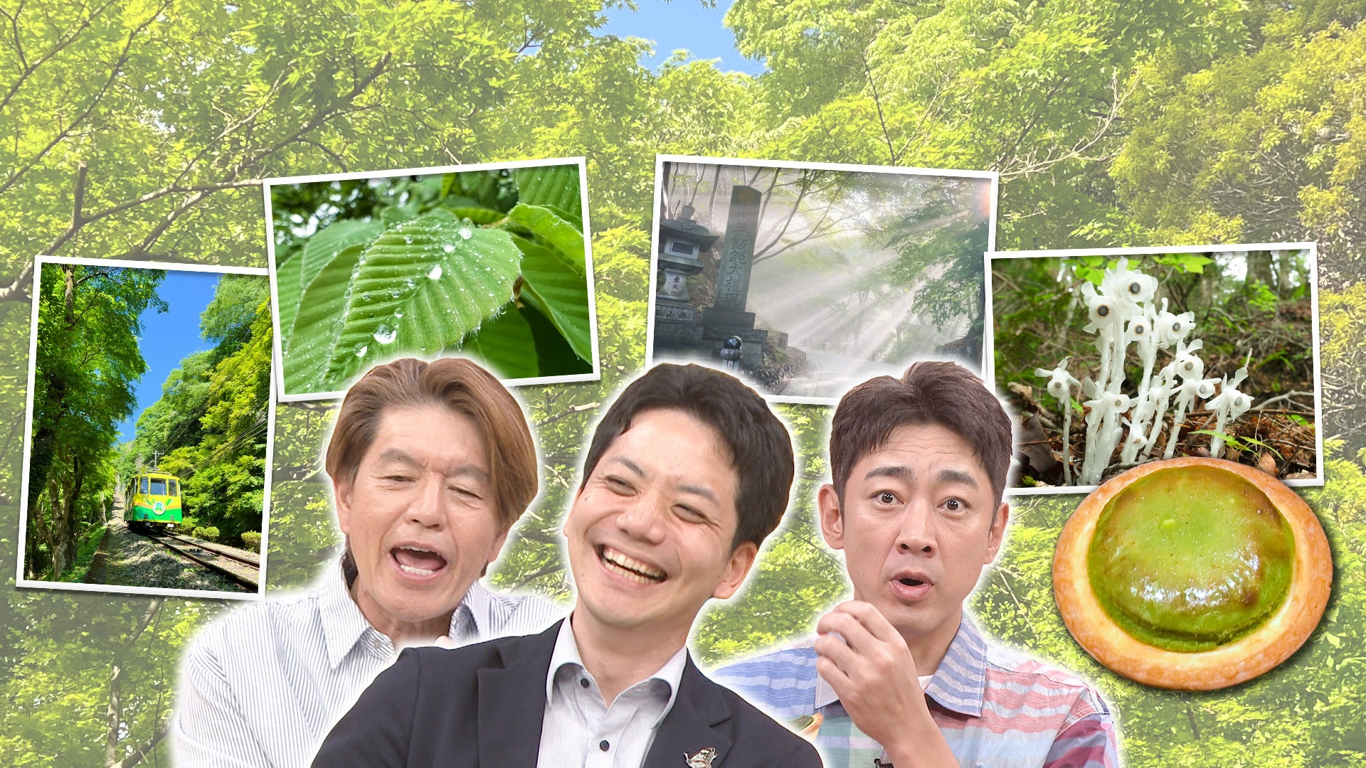 今しか見られない新緑の高尾山SP! 目玉を持つ怪植物&裏高尾も