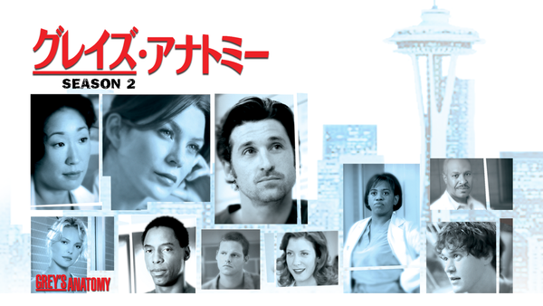 グレイズ・アナトミー シーズン2 DVD全13巻セット Amazon.com: Grey's Anatomy: Season 2 (Uncut) : Ellen Pompeo