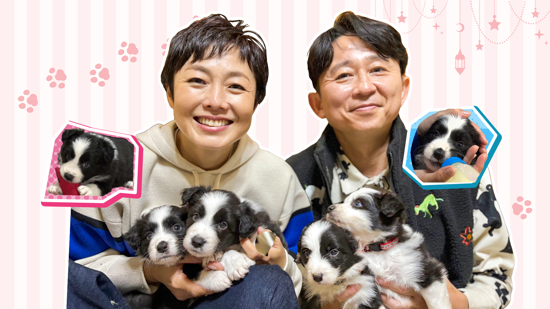 有働由美子&有吉弘行の保護犬ミルクボランティア