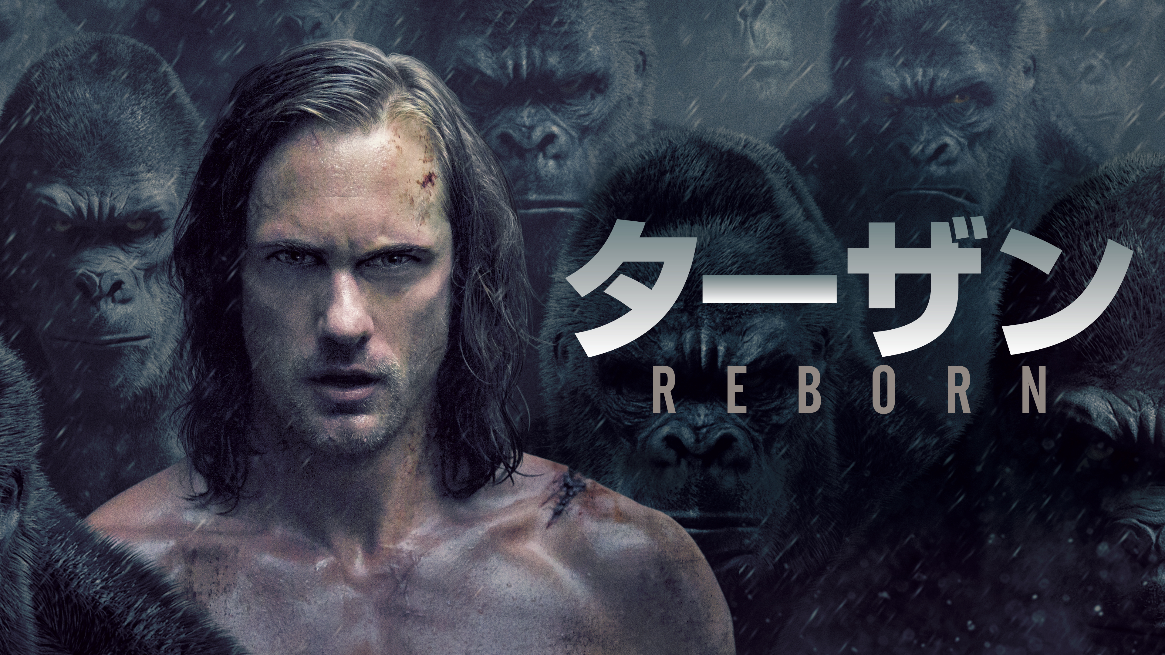 ターザン:REBORN Amazon.co.jp: ターザン:REBORN ブルーレイ&DVDセット(初回仕様