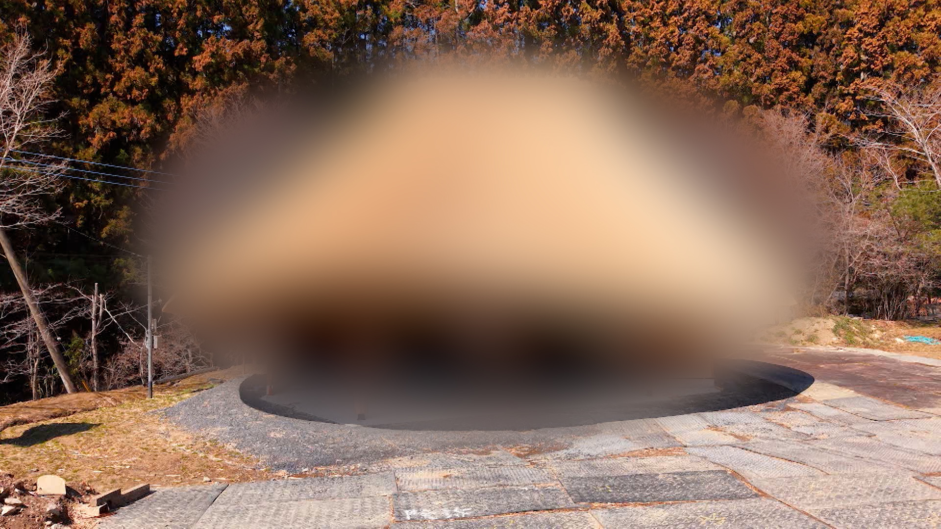 隈研吾さんこだわりの美しい流線形の茅葺き屋根が完成!