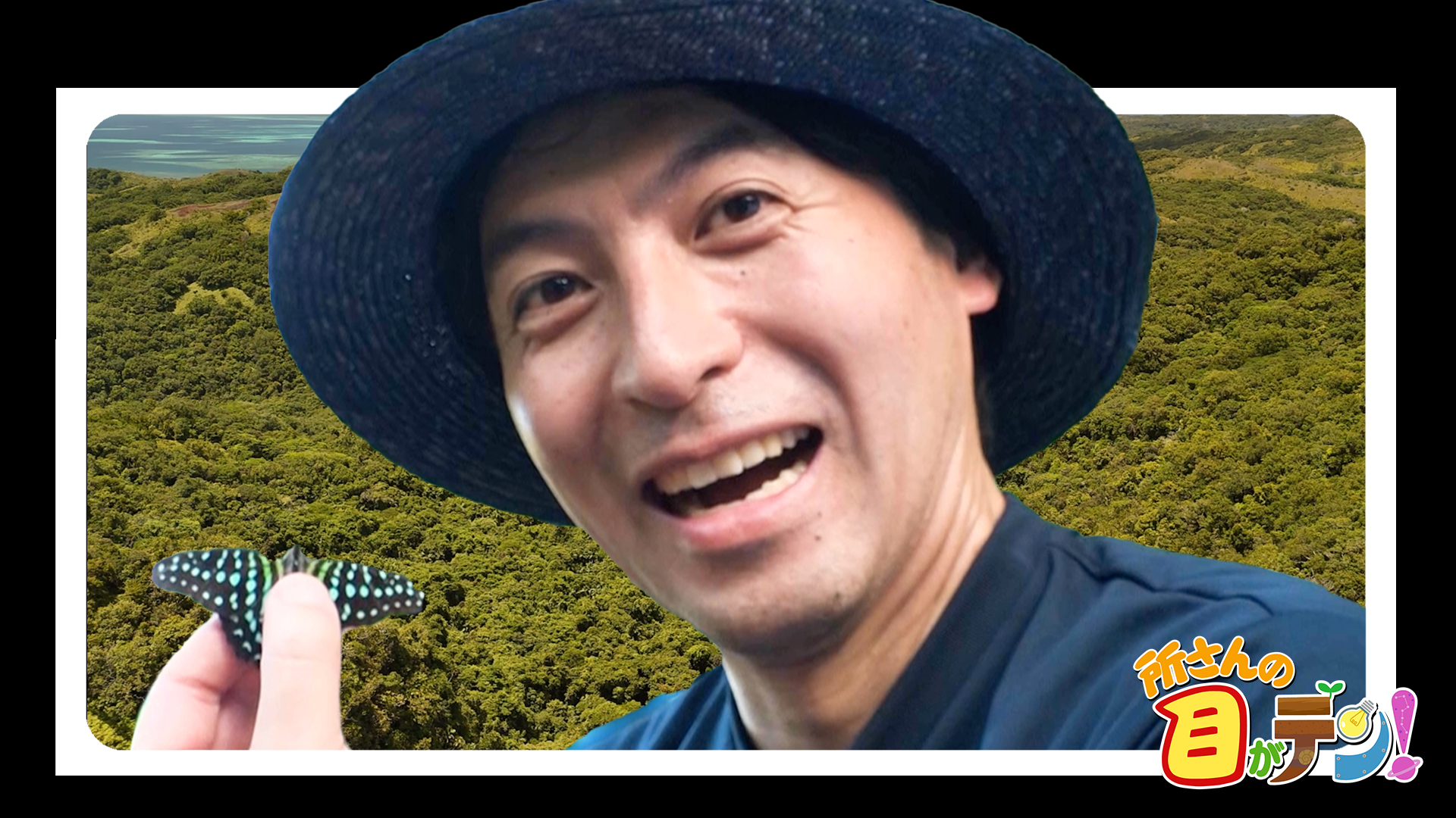 桝太一&TokyoBugBoysがパラオで念願のチョウに出会う