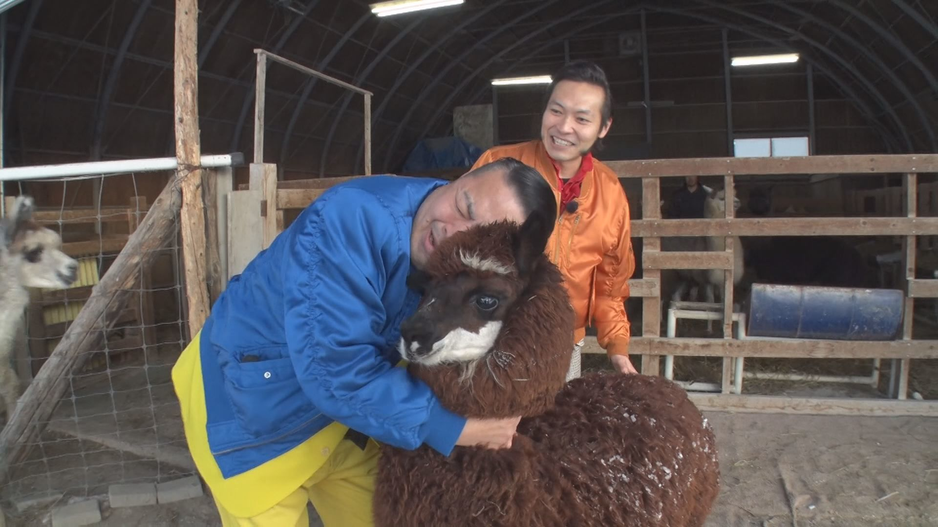 クイズ! 市町村章 第2弾③