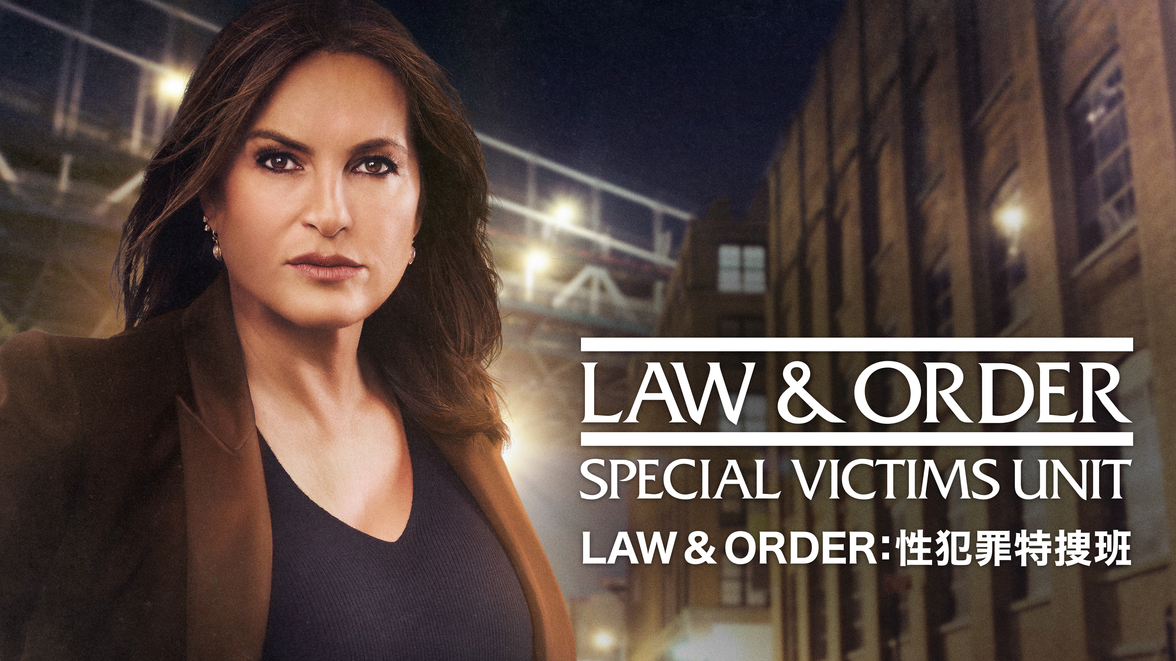 LAW & ORDER：性犯罪特捜班 シーズン23