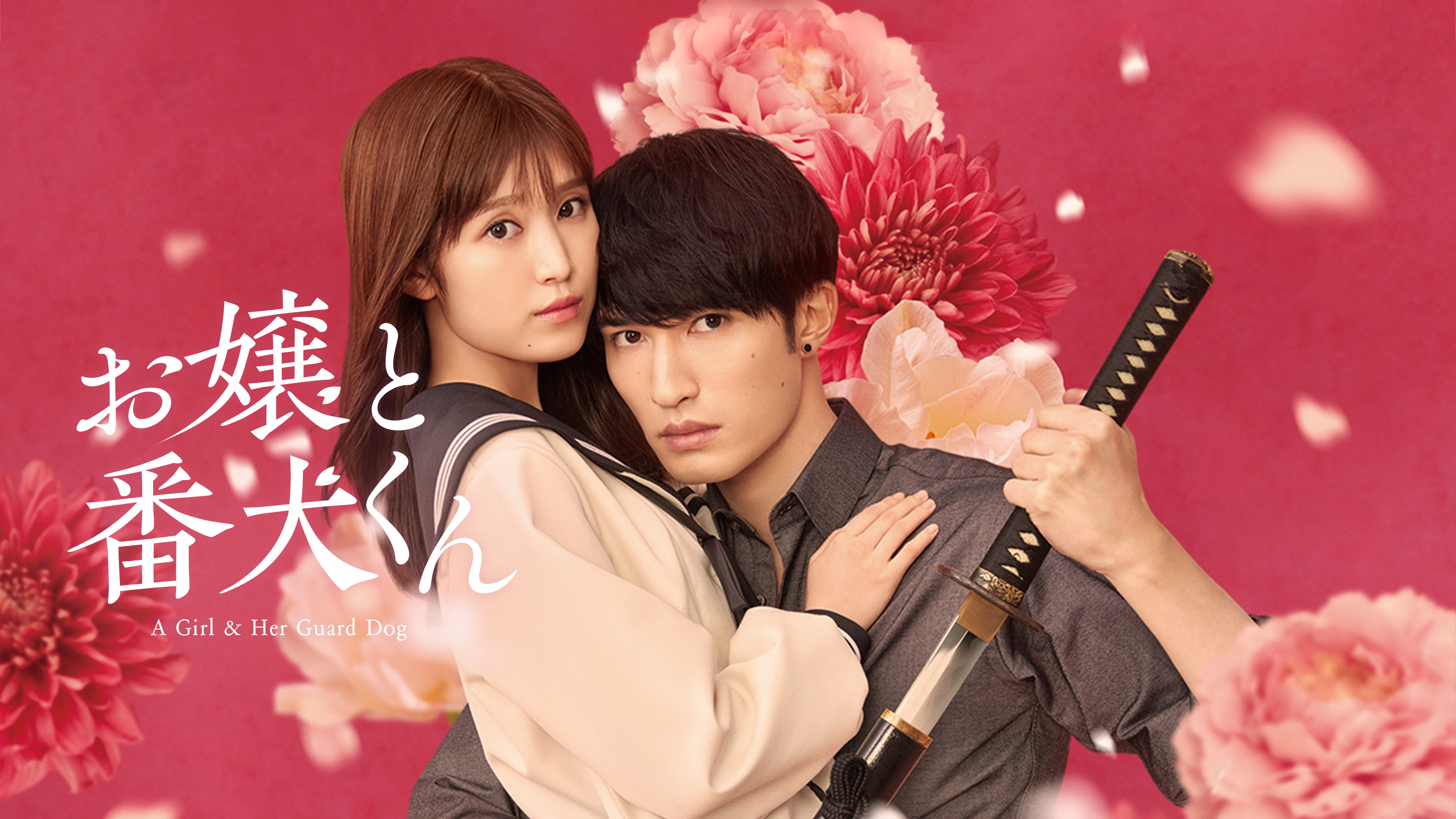 DVD お嬢と番犬くん　レンタル落ち DVD お嬢と番犬くん レンタル落ち Blu-ray & DVD | 映画『お嬢