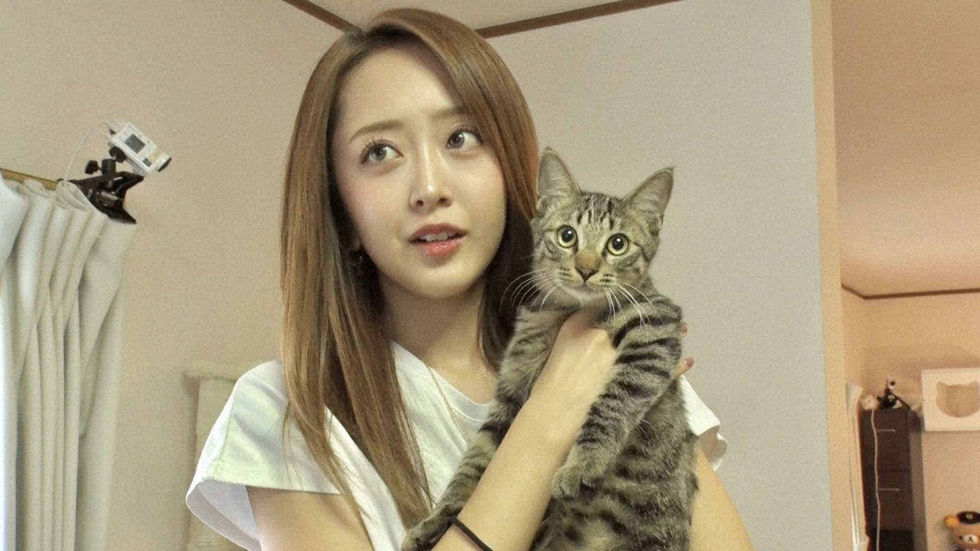 激かわ親子ニャンズ預かるみりちゃむ…いよいよ涙の譲渡会へ