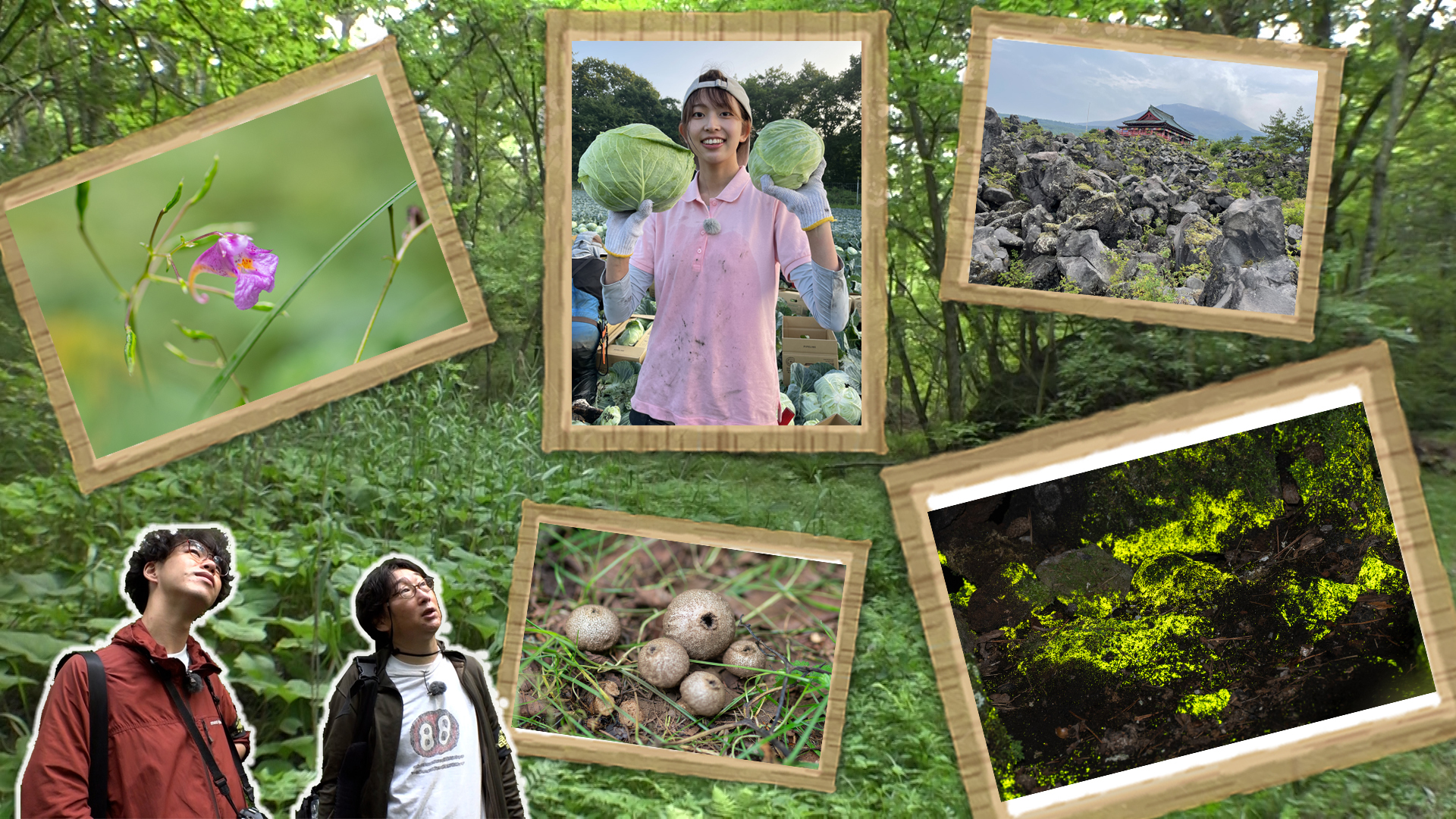 理想の自然観察園へ…森の成り立ちを知るために嬬恋村を調査