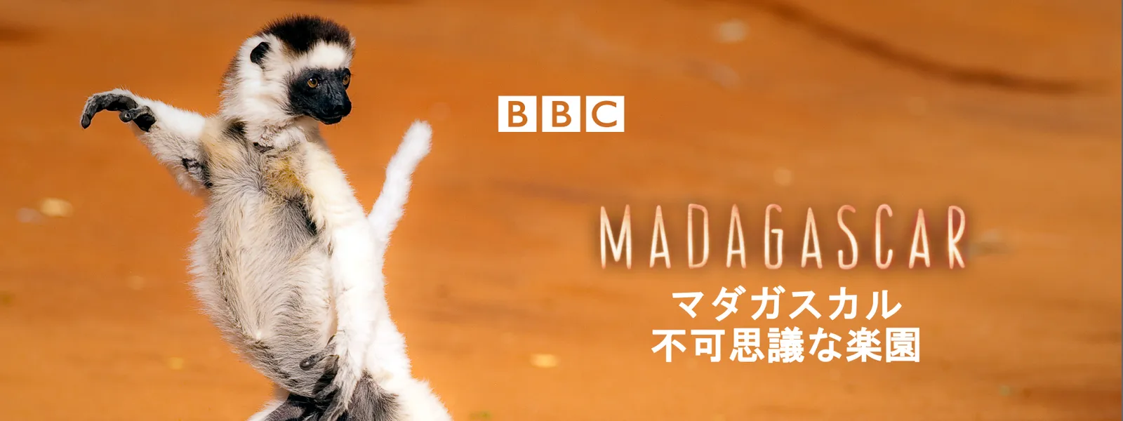 マダガスカル 不可思議な楽園 が見放題 Hulu フールー お試し無料