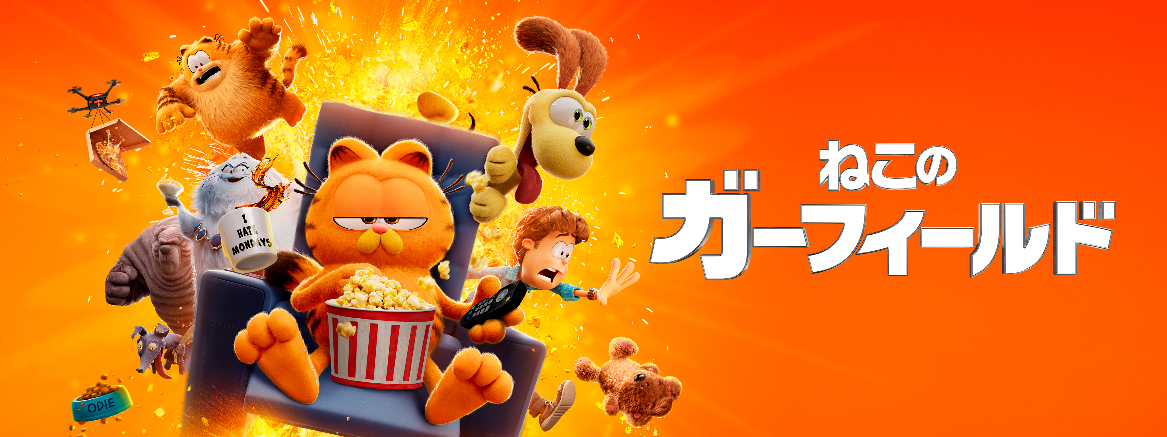 ねこのガーフィールド | Hulu(フールー)