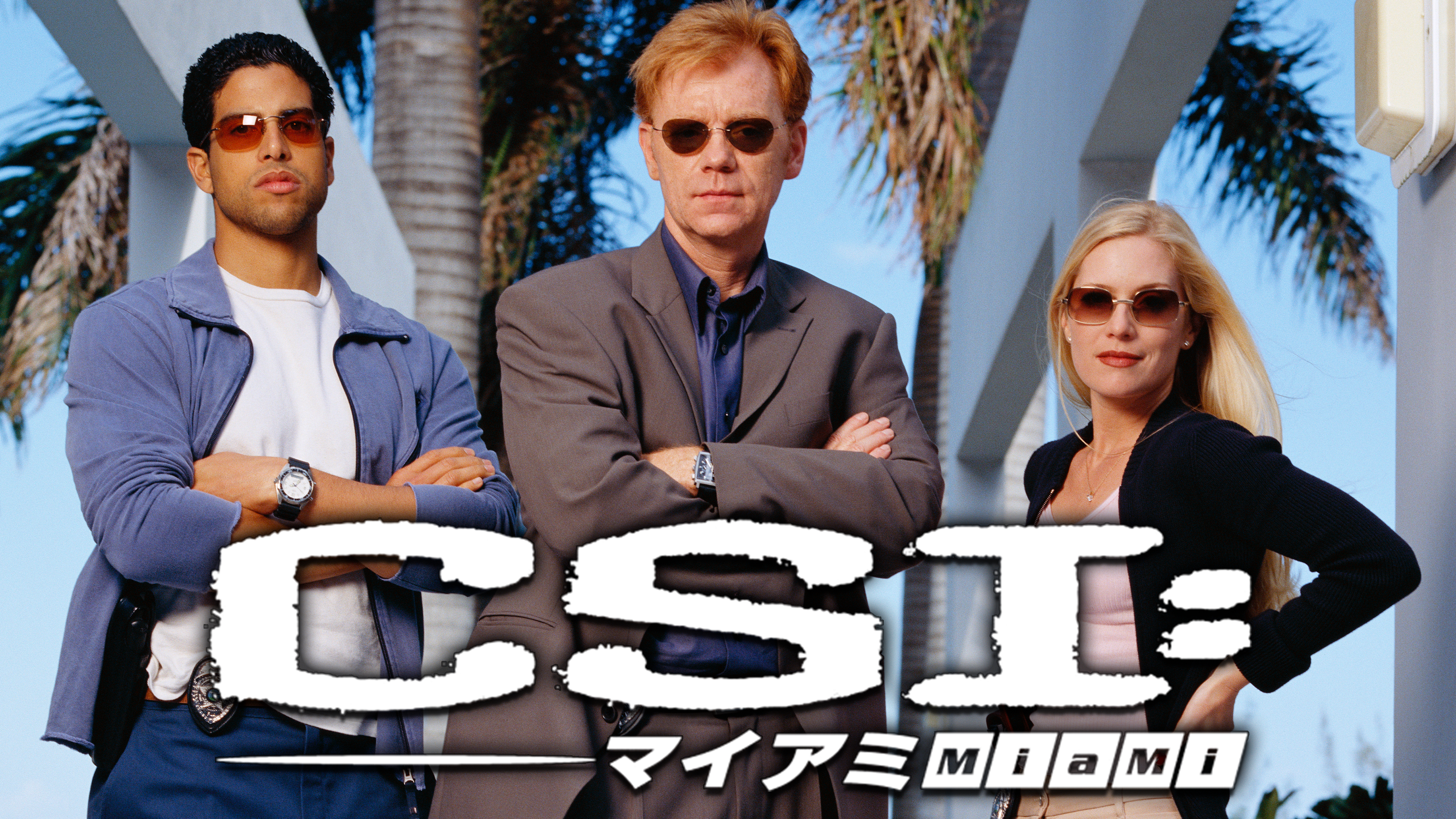 CSI：マイアミ シーズン10 第19話 (吹) さようなら マイアミ