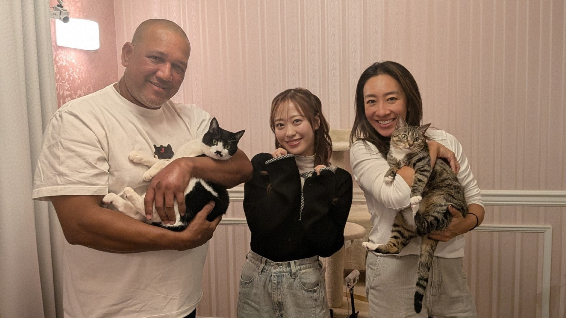 保護猫58匹育てたアイドル訪問でラミレス家ビビリ猫に奇跡