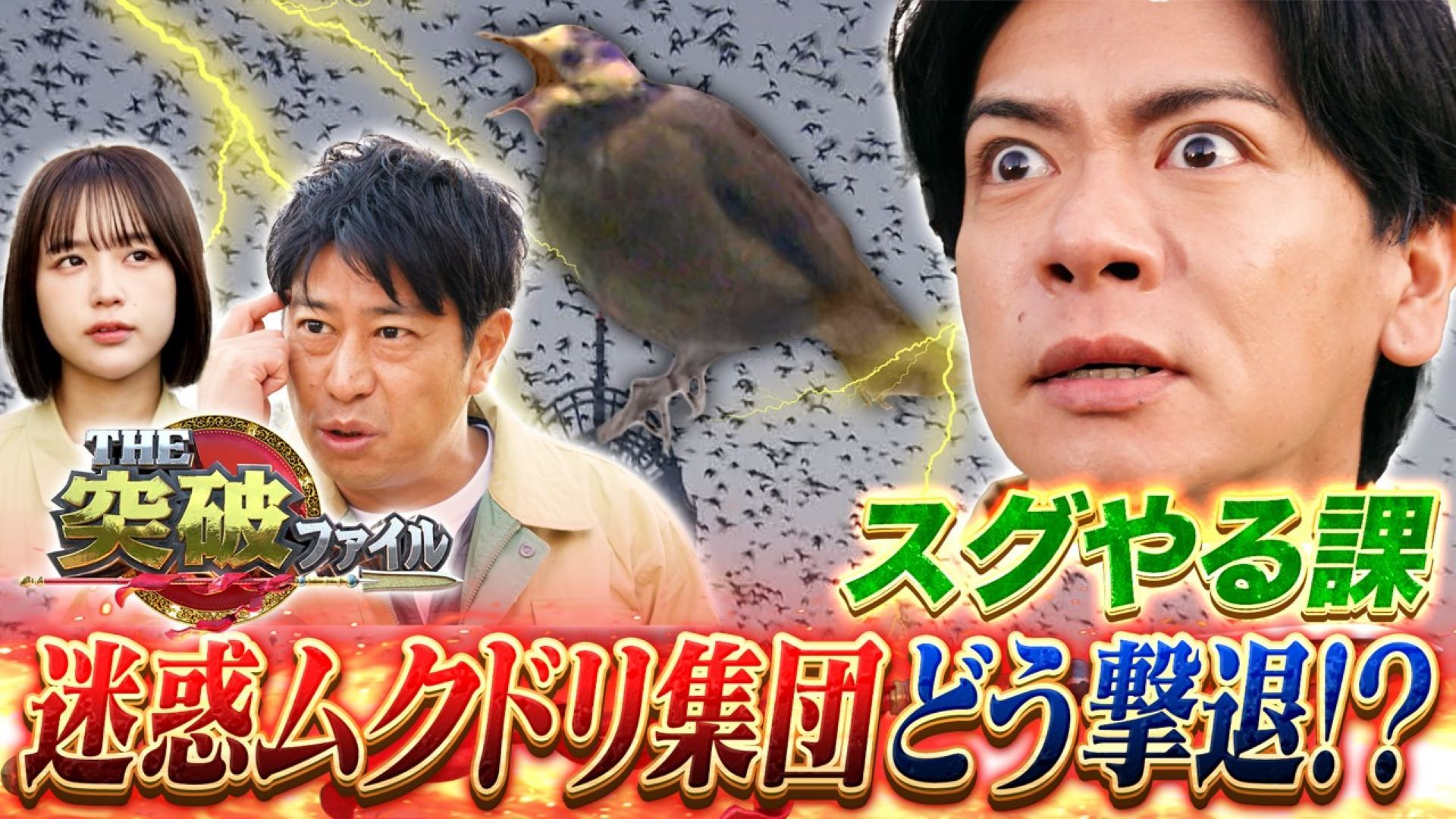 オクトパス木村空港税関&スグやる課 ヤバイ大群を撃退SP!