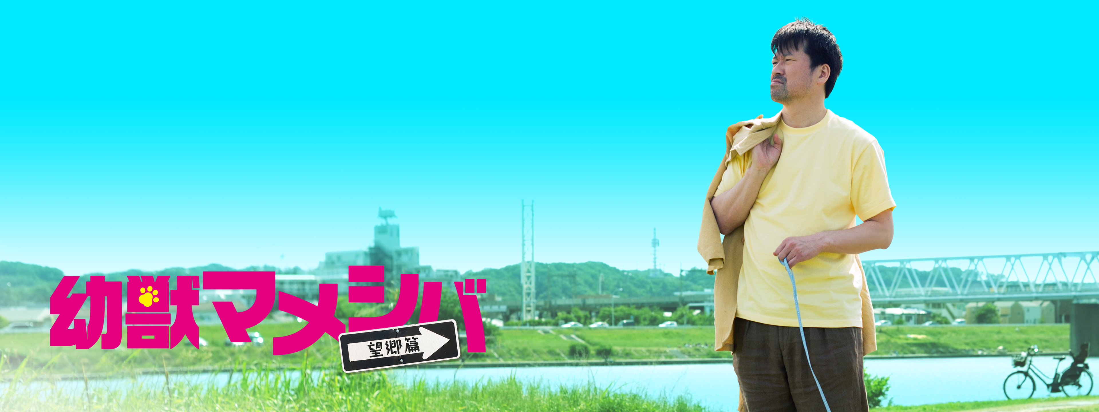 幼獣マメシバBOX〈4枚組〉