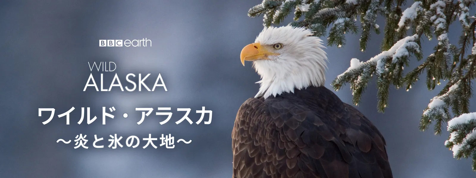 ワイルド･アラスカ ～炎と氷の大地～ - サムネイル