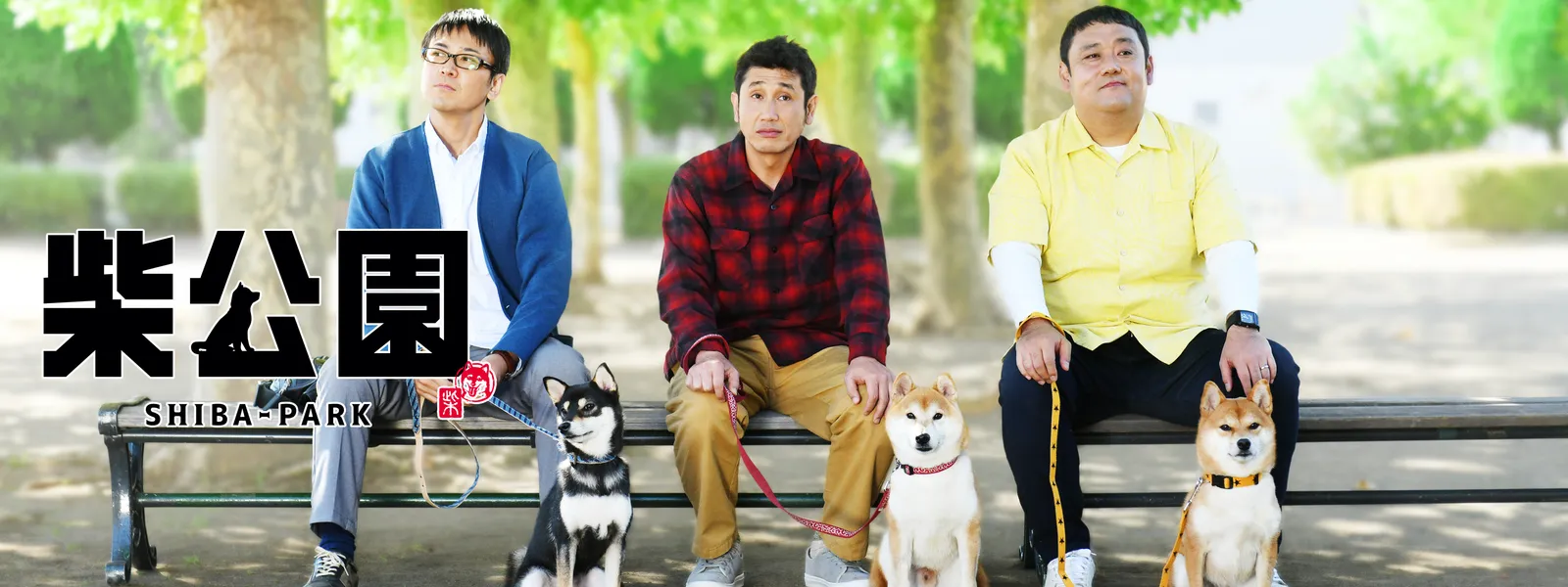 ドラマ版 柴公園 | Hulu(フールー)
