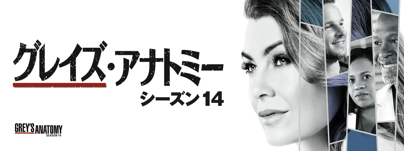 グレイズ・アナトミー シーズン14 | Hulu(フールー)