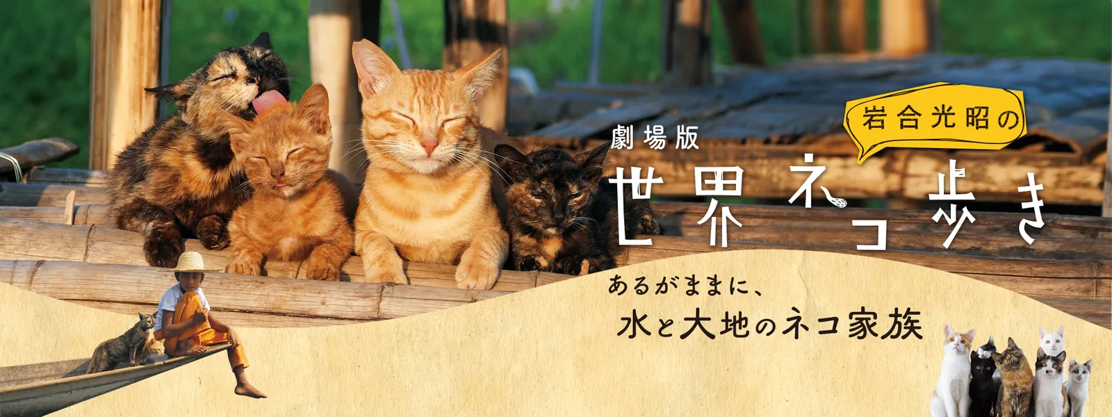 劇場版 岩合光昭の世界ネコ歩き あるがままに、水と大地のネコ家族 - サムネイル
